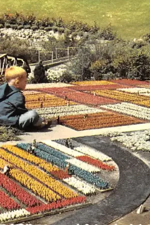 Ostatnia szansa 's-Gravenhage Bollenvelden Miniatuurstad Madurodam Bloembollenvelden HC53629