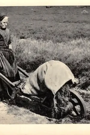 Mooi Veluwe Boerin met kar op de heide 1958 Klederdracht Vintage HC53582 Zamów teraz