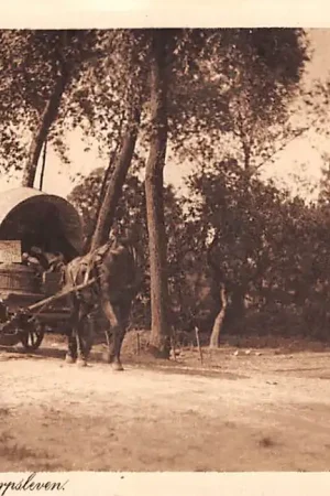 Wyprzedaż Noord-Brabant Noord-Brabantsch Dorpsleven Boer met Paard en Huifkar 1914 Vintage HC53452