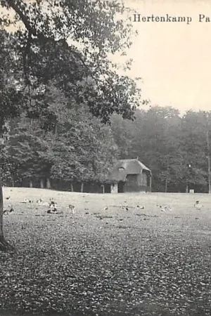 Arnhem Hertenkamp Park Sonsbeek 1912 HC53233 Oryginalny