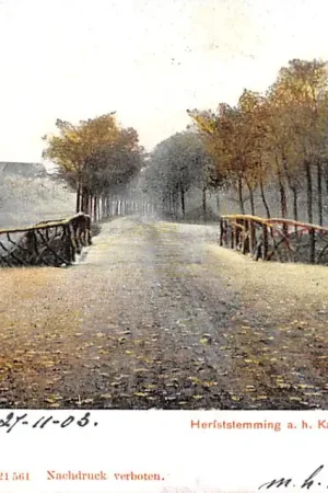 's-Gravenhage Herfststemming aan het Kanaal met 'houten bruggetje 1903 HC53216 Bezpieczna płatność