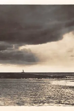 Popularny Den Helder Zee gezicht HC53055