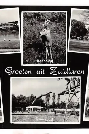 Zuidlaren 1959 Noorder Sanatorium Gereformeerde Kerk Reebokje Zwembad Brink N.H. Kerk Drenthe HC52966 Wysoka jakość