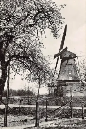 Zwiep bij Lochem Molen 1965 HC52870 Kup teraz