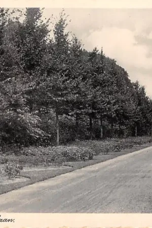 Premium Baarn Koningslaan met monument 1941 HC52835