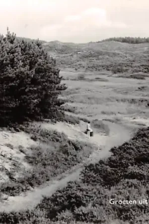 Overveen Groeten uit de Kennemerduinen Bloemendaal HC52671 Niska cena