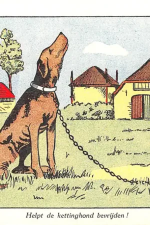 's-Gravenhage Den Haag Helpt de kettinghond bevrijden! Nederlandsche Vereening tot bescherming van dieren Fantasie HC52620 Tylko dziś