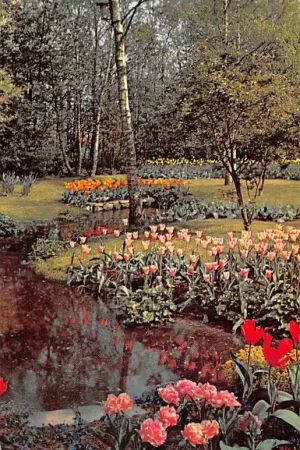 Lisse Keukenhof De bloemenvelden in bloei Bloembollenvelden 1960 HC52537 Rabat