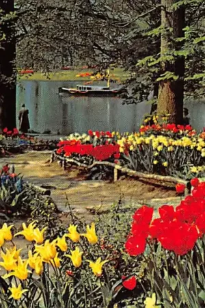 Lisse Keukenhof De bloemenvelden in bloei Bloembollenvelden HC52531 Oferta limitowana