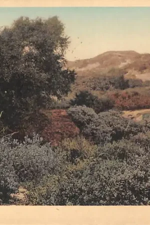 Tani Katwijk aan Zee Blonde Duinen Ons Eigen Land 1923 HC52148
