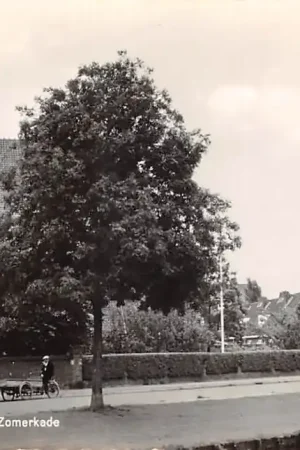 Ekspresowa dostawa Haarlem Zomerkade Hervormde Oosterkerk 1966 HC52104