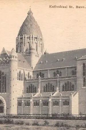 Haarlem Kathedraal St. Bavo R.K. Kerk Tulp HC51884 Tani