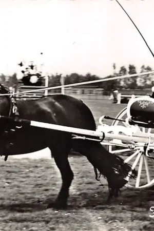 Rabat Bolsward Friese Klederdracht Paard en wagen 1959 Friesland HC51789