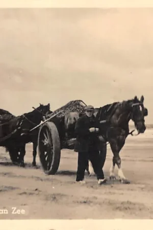 Katwijk aan Zee Paard en wagens op het strand Schelpenvissers 1947 HC51703 Popularny