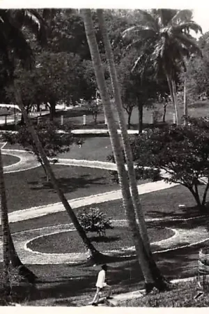 Oryginalny Nederlands-Indië Saba Park Fotokaart 1938 Indonesië Indonesia Azië HC51752