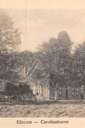 Tylko dziś Ellecom Carolinahoeve Boerderij Paard en wagen met hooi 1925 Veluwe HC51641
