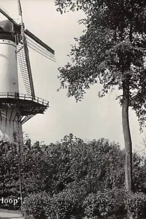 Ekspresowa dostawa Tholen Molen de Hoop 1939 Newo fotokaart HC51485