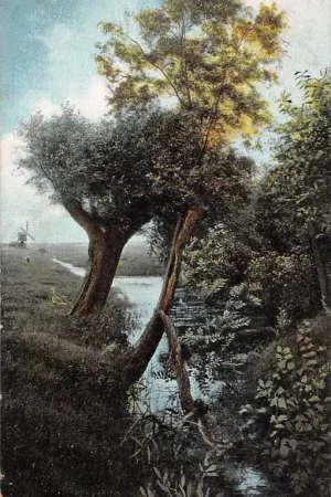 De Bilt Onder Westbroek bij Utrecht Molen 1904 HC51261 Oryginalny