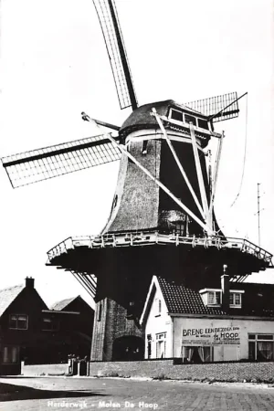 Promocja Harderwijk Molen De Hoop HC51018