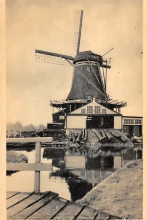 Leiden Molen HC51017 Zamów teraz
