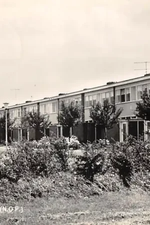 Groeten uit Nagele Noordoostpolder 1960 Flevoland HC50881 Premium