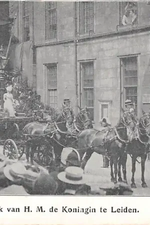 Leiden 1905 Bezoek van H.M. de Koningin te Leiden Koningshuis Koets met paard HC50879 Wyprzedaż
