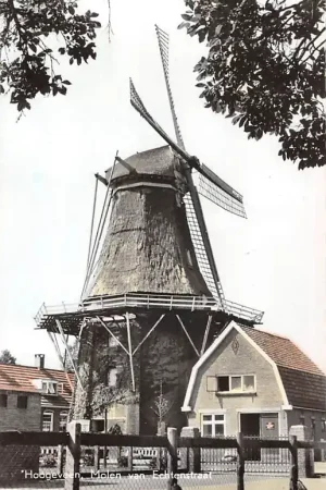 Hoogeveen Molen van Echtenstraat 1959 HC50739 Tylko dziś