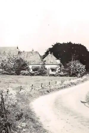 Woldberg bij Steenwijk Boerderij 1966 HC50729 Ekspresowa dostawa