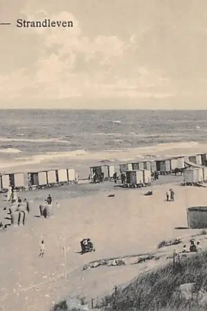 Popularny Noordwijk aan Zee Strand leven HC50840