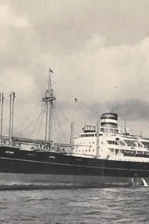 Autentyczny Rotterdam s.s. Soestdijk Holland America Line Schepen Scheepvaart HC50658