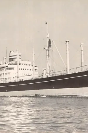 Popularny Rotterdam s.s. Andyk Holland Amerika Lijn 1958 Schepen Scheepvaart HC50627