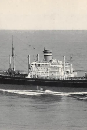 Premium Rotterdam s.s. Almdyk Holland America Line Scheepvaart Schepen HC50625