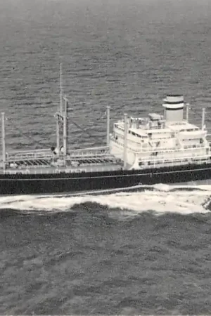 Popularny Rotterdam s.s. Alblasserdyk Holland America Line Scheepvaart Schepen HC50624
