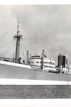 Popularny Rotterdam M.S. Bantam Fotokaart Koninklijke Rotterdamsche Lloyd Scheepvaart Schepen HC50619