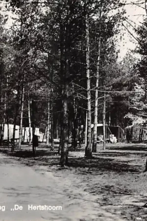 Zwrot pieniędzy Garderen Camping De Hertshoorn Putterweg 68 1968 Veluwe HC50314