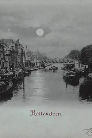 Rotterdam 1902 Molen HC50292 Ekspresowa dostawa