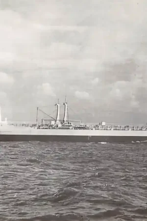 Scheepvaart Rotterdam PHs. van Ommeren m.t.s. Barendrecht 1974 Schepen HC50197 Popularny