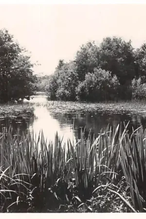 Popularny Rockanje aan Zee Kwakjeswater 1953 HC50099