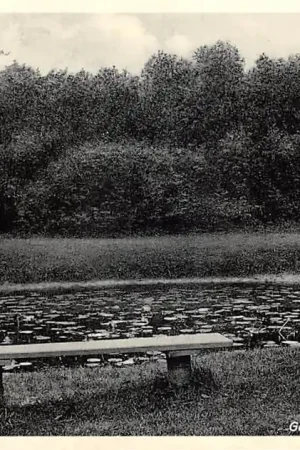 Rockanje aan Zee Goudvisschenvijver Ronde Wei 1933 HC50092 Wyprzedaż