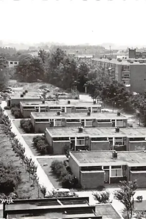 Leidschendam Schoorwijk met molen 1966 HC50162 Szybka dostawa