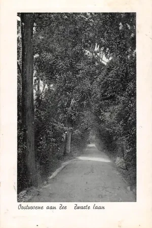 Oostvoorne aan Zee Zwarte laan 1939 HC50006 Kup teraz