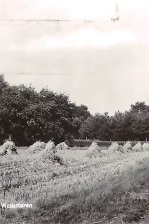 Aalten Gezicht op de watertoren 1973 HC50082 Oferta