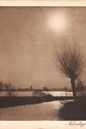 Rotterdam Kralingsche Plas Nevelige Winter namiddag HC50060 Ostatnia szansa