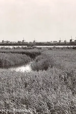 Najlepsza cena Krimpen aan de Lek Gezicht op Kinderdijk met molens 1964 Krimpenerwaard HC50033