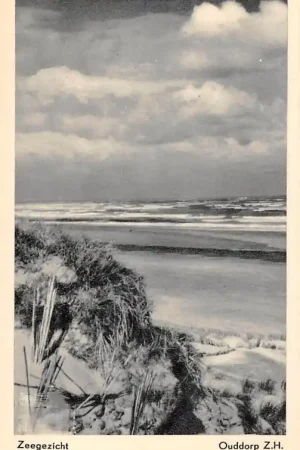Ouddorp (ZH) Zee gezicht met strand en duinen HC49938 Wyprzedaż