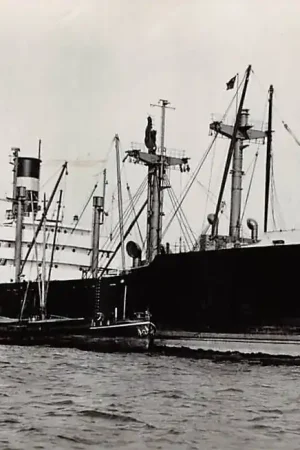 Rotterdam S.S. Grootekerk Holland-Afrika Lijn Scheepvaart Schepen HC49839 Promocja