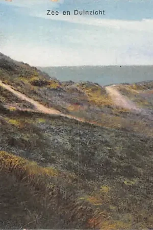 Hoek van Holland Zee en Duinzicht 1926 HC49713 Ostatnia szansa