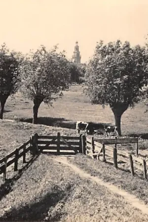 Najlepsza cena Haastrecht Langs de dijk bij Haastrecht Type fotokaart Krimpenerwaard HC49672