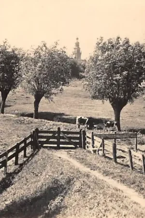 Rabat Haastrecht Langs de dijk 1945 Type fotokaart Krimpenerwaard HC49671