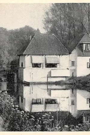 Woold te Selle Watermolen Molen Winterswijk HC49518 Nowość